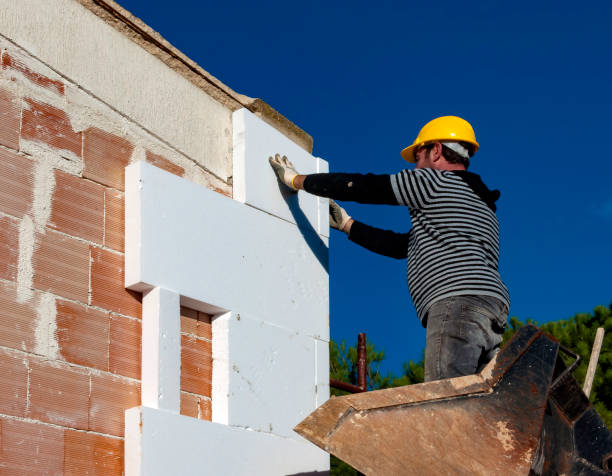 Best Spray Foam Insulation in Farmerville, LA