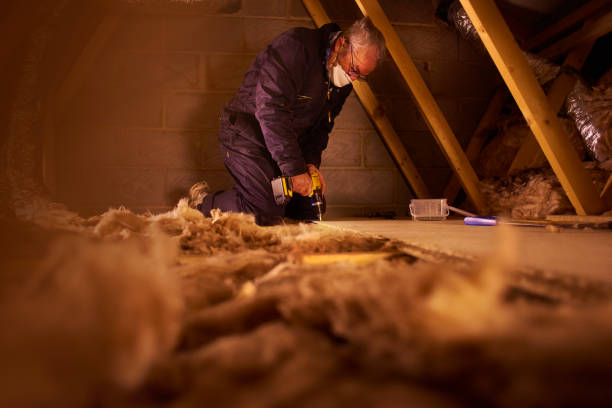 Best Spray Foam Insulation in Farmerville, LA